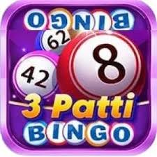 3Patti Bingo